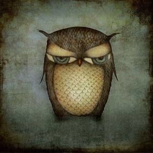 Meet your Posher, Jessie